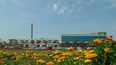 China Anhui Yongcheng Electronic and Mechanical Technology Co., Ltd. Bedrijfsprofiel