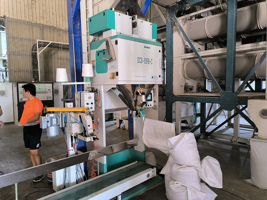 De Verpakkingsmachine 5kg 10kg 15kg 25kg van de Ewinall DCS-50fb-c Automatische Handrijst