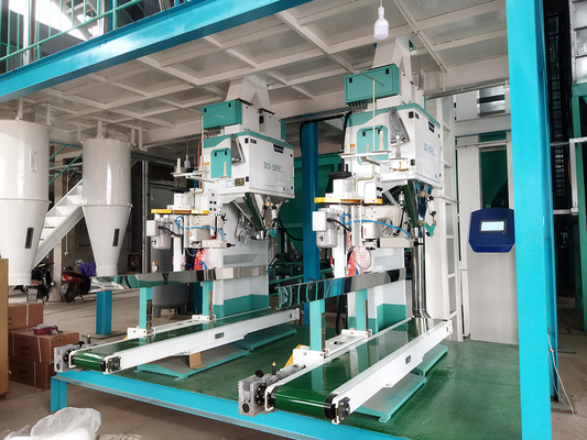 Van de de Verpakkingsschaal van de hoge snelheids de Automatische Rijst Machine Hand DCS-50FB3 Ewinall