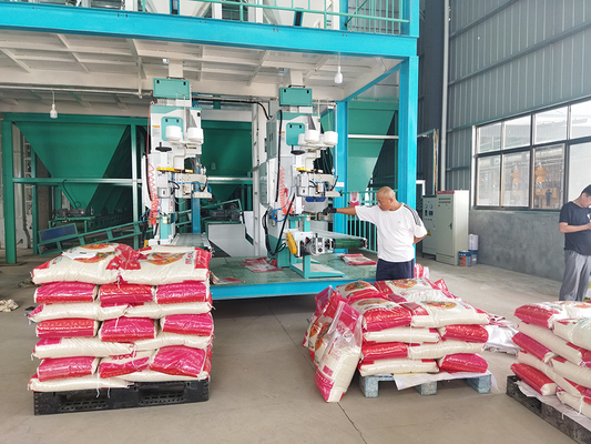 Machine van de rijstverpakking 5 - 50kg-Hoge snelheidstransportband het Automatische Opheffen