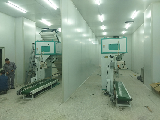 Plastic de Verpakkingsmachine van de Korrel volledig Automatische Rijst voor Rijstfabrikant