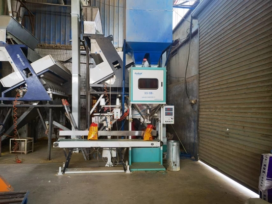 Elektronische Kwantitatieve Verpakkingsschaal voor Rijst Wit Sugar Feed Plastic Granules