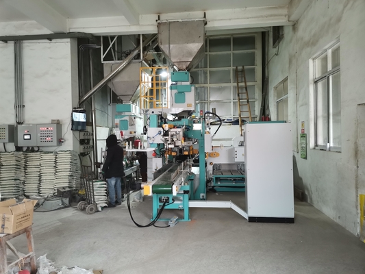De dubbele Automatische Verpakkende Machine 5-25KG van het Zakpakhuis volledig voor Rijstbonen