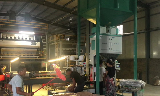 Kwantitatieve Verpakkende Machines van Korrelige Materialen in het Voer van Rijstzaden