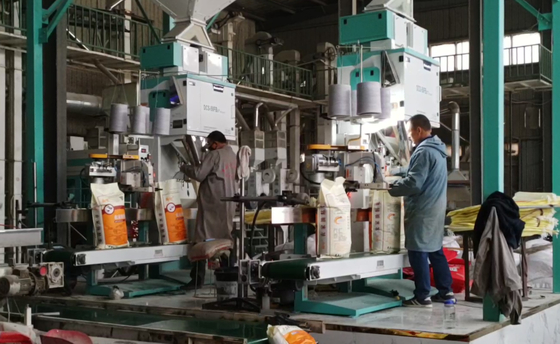 Hoge Wegende de Verpakkingsmachines DCS-50FB3+ 5 van de Precisiekorrel - de Snelle Verpakking van 50KG