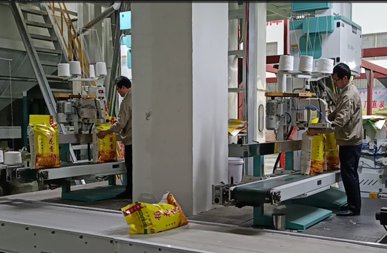 Hoge Wegende de Verpakkingsmachines DCS-50FB3+ 5 van de Precisiekorrel - de Snelle Verpakking van 50KG