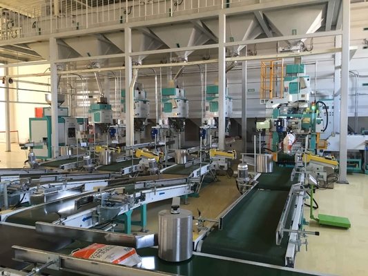 700mm 850mm de Machinelijn 5kg van het Hoge snelheids Automatische In zakken doen aan 10kg